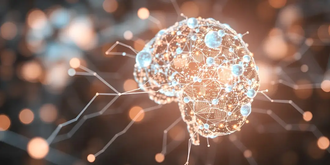 Main picture for website blog (23) (1)